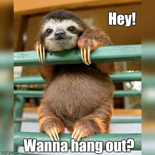 Wanna hang? | Hey! Wanna hang out? | image tagged in sloth,hang out,chilling,slow motion | made w/ Imgflip meme maker