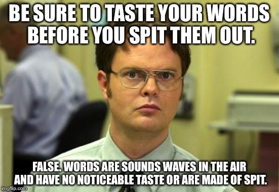 Dwight Schrute | BE SURE TO TASTE YOUR WORDS BEFORE YOU SPIT THEM OUT. FALSE. WORDS ARE SOUNDS WAVES IN THE AIR AND HAVE NO NOTICEABLE TASTE OR ARE MADE OF SPIT. | image tagged in memes,dwight schrute | made w/ Imgflip meme maker