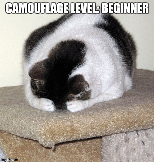 CAMOUFLAGE LEVEL: BEGINNER | made w/ Imgflip meme maker