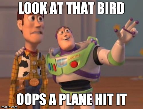 X, X Everywhere | LOOK AT THAT BIRD; OOPS A PLANE HIT IT | image tagged in memes,x x everywhere | made w/ Imgflip meme maker