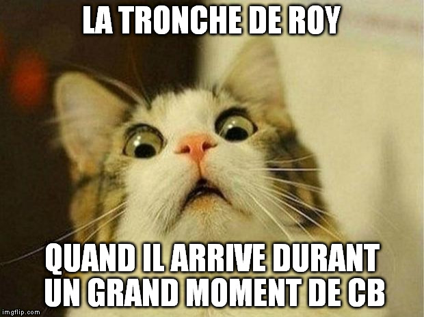 Scared Cat Meme | LA TRONCHE DE ROY; QUAND IL ARRIVE DURANT UN GRAND MOMENT DE CB | image tagged in memes,scared cat | made w/ Imgflip meme maker
