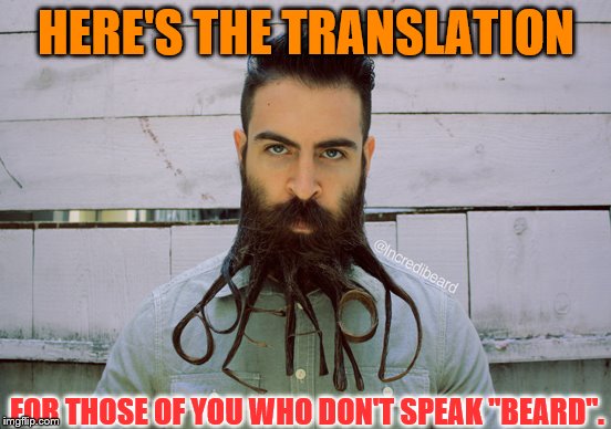 Here's Your Sign | HERE'S THE TRANSLATION; FOR THOSE OF YOU WHO DON'T SPEAK "BEARD". | image tagged in weird beards,humor memes | made w/ Imgflip meme maker