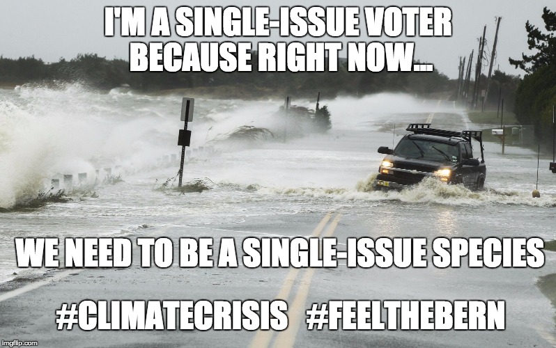 Climate change | I'M A SINGLE-ISSUE VOTER BECAUSE RIGHT NOW... WE NEED TO BE A SINGLE-ISSUE SPECIES; #CLIMATECRISIS   #FEELTHEBERN | image tagged in climate change | made w/ Imgflip meme maker