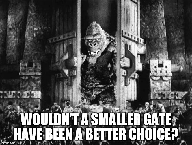 WOULDN’T A SMALLER GATE HAVE BEEN A BETTER CHOICE? | image tagged in king kong | made w/ Imgflip meme maker