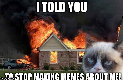 This is what happens... | I TOLD YOU; TO STOP MAKING MEMES ABOUT ME! | image tagged in memes,burn kitty | made w/ Imgflip meme maker