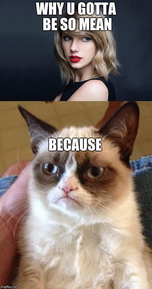 Taylor and grumpy cat feud | WHY U GOTTA BE SO MEAN; BECAUSE | image tagged in taylor swift,grumpy cat,mean,because fuck you | made w/ Imgflip meme maker