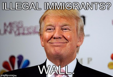 Donald trump approves | ILLEGAL IMMIGRANTS? WALL. | image tagged in donald trump approves | made w/ Imgflip meme maker