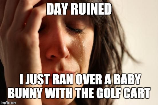 First World Problems | DAY RUINED; I JUST RAN OVER A BABY BUNNY WITH THE GOLF CART | image tagged in memes,first world problems | made w/ Imgflip meme maker