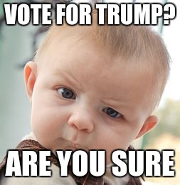 Skeptical Baby | VOTE FOR TRUMP? ARE YOU SURE | image tagged in memes,skeptical baby | made w/ Imgflip meme maker