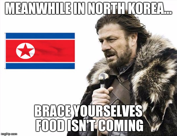Brace Yourselves X is Coming | MEANWHILE IN NORTH KOREA... BRACE YOURSELVES FOOD ISN'T COMING | image tagged in memes,brace yourselves x is coming | made w/ Imgflip meme maker