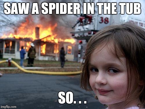 Disaster Girl | SAW A SPIDER IN THE TUB; SO. . . | image tagged in memes,disaster girl | made w/ Imgflip meme maker
