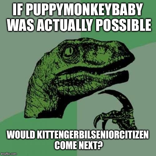 Philosoraptor Meme | IF PUPPYMONKEYBABY WAS ACTUALLY POSSIBLE; WOULD KITTENGERBILSENIORCITIZEN COME NEXT? | image tagged in memes,philosoraptor | made w/ Imgflip meme maker