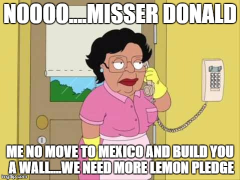 Consuela | NOOOO....MISSER DONALD; ME NO MOVE TO MEXICO AND BUILD YOU A WALL....WE NEED MORE LEMON PLEDGE | image tagged in memes,consuela | made w/ Imgflip meme maker