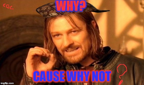 One Does Not Simply Meme | WHY? CAUSE WHY NOT | image tagged in memes,one does not simply,scumbag | made w/ Imgflip meme maker