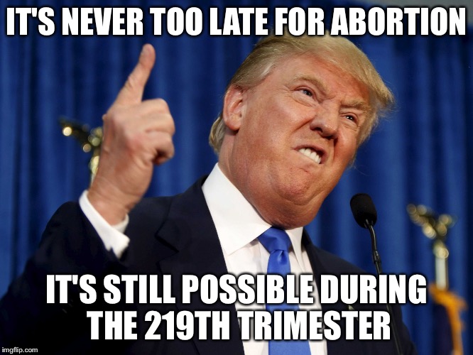 IT'S NEVER TOO LATE FOR ABORTION; IT'S STILL POSSIBLE DURING THE 219TH TRIMESTER | image tagged in trump | made w/ Imgflip meme maker