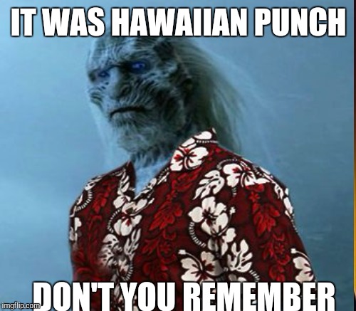 IT WAS HAWAIIAN PUNCH DON'T YOU REMEMBER | made w/ Imgflip meme maker
