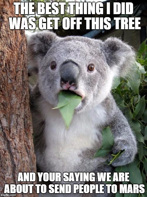 Surprised Koala | THE BEST THING I DID WAS GET OFF THIS TREE; AND YOUR SAYING WE ARE ABOUT TO SEND PEOPLE TO MARS | image tagged in memes,surprised koala | made w/ Imgflip meme maker