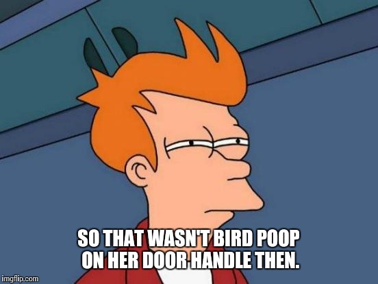 Futurama Fry Meme | SO THAT WASN'T BIRD POOP ON HER DOOR HANDLE THEN. | image tagged in memes,futurama fry | made w/ Imgflip meme maker