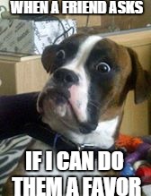 Dogs | WHEN A FRIEND ASKS; IF I CAN DO THEM A FAVOR | image tagged in dogs | made w/ Imgflip meme maker