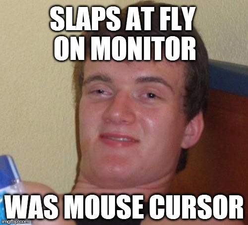 10 Guy | SLAPS AT FLY ON MONITOR; WAS MOUSE CURSOR | image tagged in memes,10 guy | made w/ Imgflip meme maker