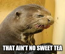 THAT AIN'T NO SWEET TEA | image tagged in otter | made w/ Imgflip meme maker