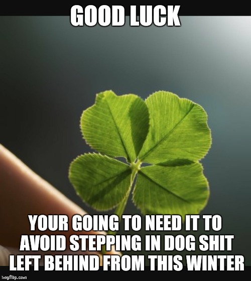 4 leaf clover hand | GOOD LUCK; YOUR GOING TO NEED IT TO AVOID STEPPING IN DOG SHIT LEFT BEHIND FROM THIS WINTER | image tagged in 4 leaf clover hand | made w/ Imgflip meme maker