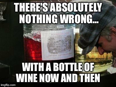 THERE'S ABSOLUTELY NOTHING WRONG... WITH A BOTTLE OF WINE NOW AND THEN | image tagged in wine | made w/ Imgflip meme maker