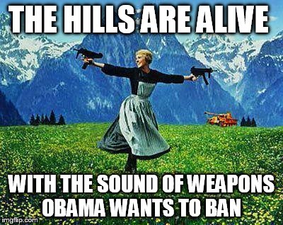 Julie Andrews Machine Guns |  THE HILLS ARE ALIVE; WITH THE SOUND OF WEAPONS OBAMA WANTS TO BAN | image tagged in julie andrews machine guns,obama,guns | made w/ Imgflip meme maker