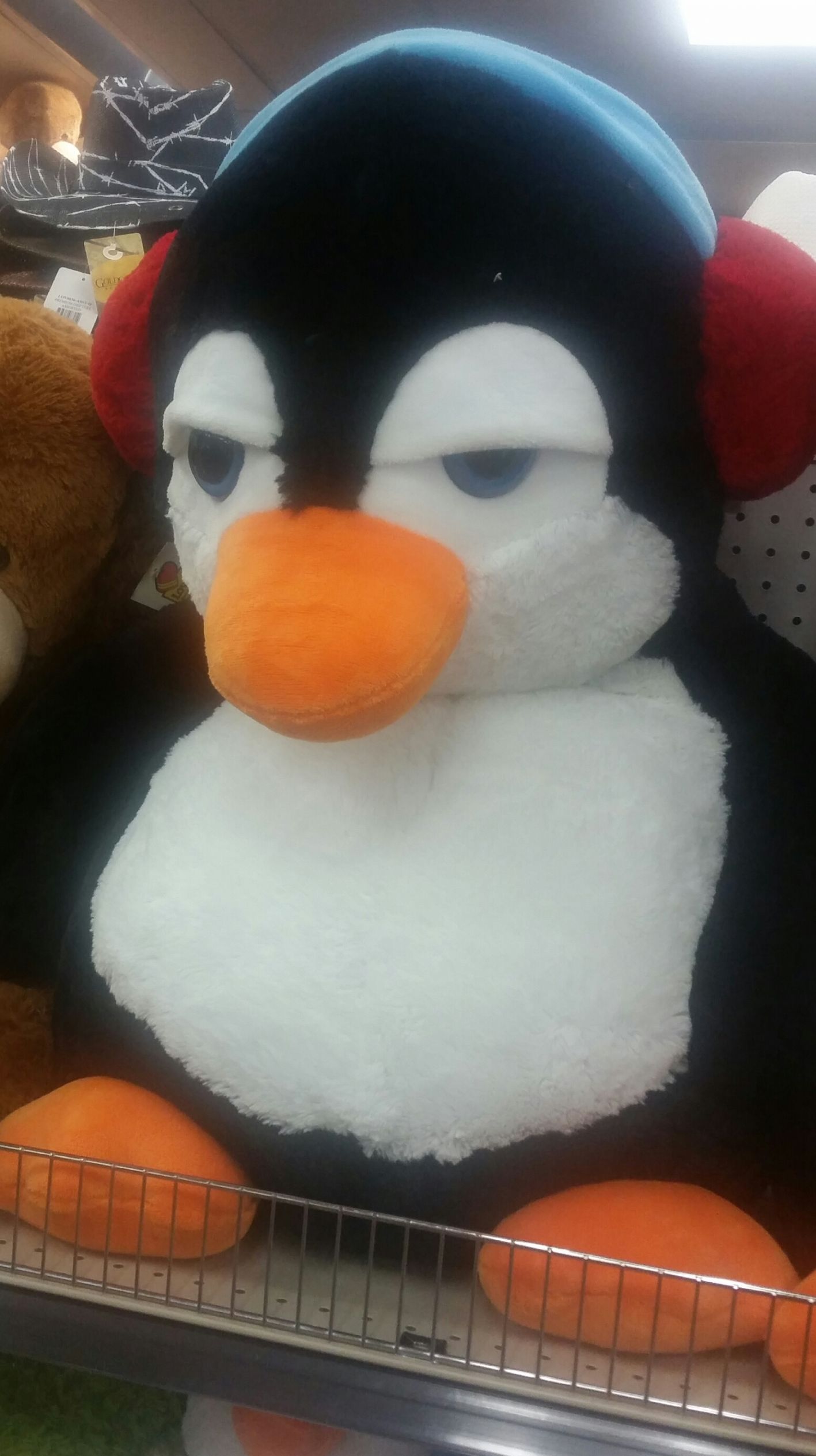 High Quality Plush penguin is not amused Blank Meme Template