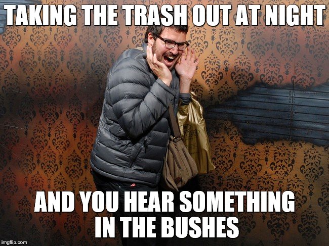You know this has happened to you... | TAKING THE TRASH OUT AT NIGHT; AND YOU HEAR SOMETHING IN THE BUSHES | image tagged in scared,memes,funny,screaming,trash,but thats none of my business | made w/ Imgflip meme maker