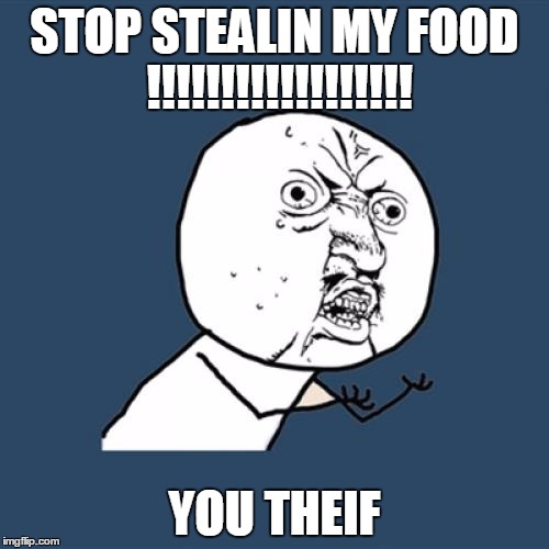 Y U No Meme | STOP STEALIN MY FOOD !!!!!!!!!!!!!!!!!! YOU THEIF | image tagged in memes,y u no | made w/ Imgflip meme maker