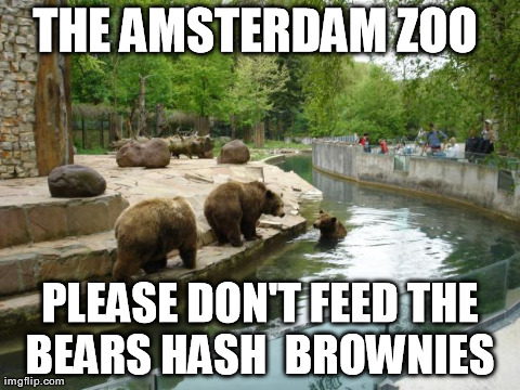THE AMSTERDAM ZOO  PLEASE DON'T FEED THE BEARS
HASH 
BROWNIES
 | made w/ Imgflip meme maker