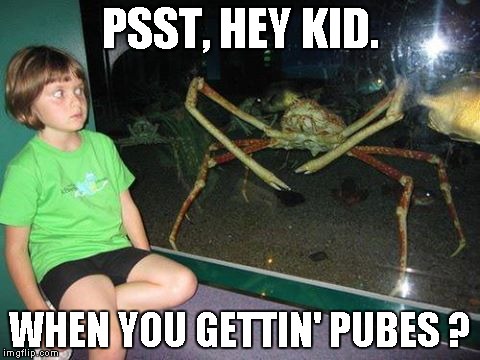 PSST, HEY KID. WHEN YOU GETTIN' PUBES ? | image tagged in crabs,kids these days | made w/ Imgflip meme maker