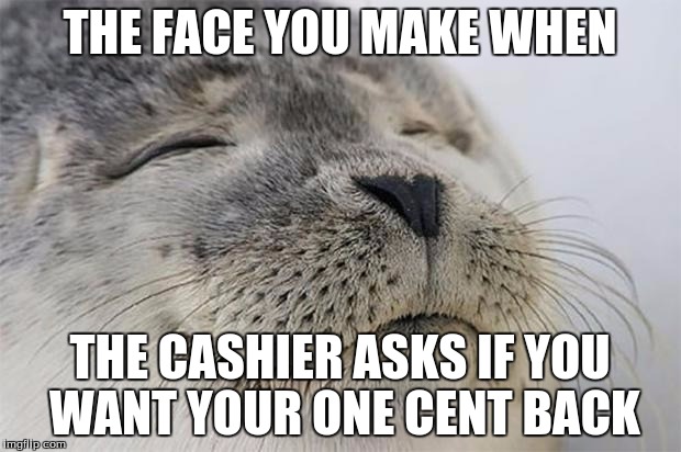 Satisfied Seal | THE FACE YOU MAKE WHEN; THE CASHIER ASKS IF YOU WANT YOUR ONE CENT BACK | image tagged in memes,satisfied seal | made w/ Imgflip meme maker