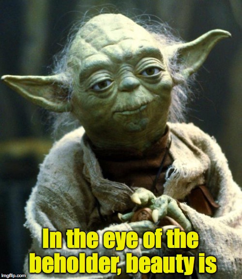 Star Wars Yoda Meme | In the eye of the beholder, beauty is | image tagged in memes,star wars yoda | made w/ Imgflip meme maker