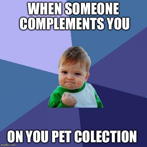 Success Kid Meme | WHEN SOMEONE COMPLEMENTS YOU; ON YOU PET COLECTION | image tagged in memes,success kid | made w/ Imgflip meme maker