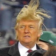 Trump Hair Wind Blank Meme Template