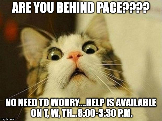 Scared Cat | ARE YOU BEHIND PACE???? NO NEED TO WORRY....HELP IS AVAILABLE ON T, W, TH...8:00-3:30 P.M. | image tagged in memes,scared cat | made w/ Imgflip meme maker