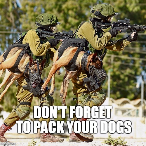 Holstered attack dogs | DON'T FORGET TO PACK YOUR DOGS | image tagged in holstered attack dogs | made w/ Imgflip meme maker