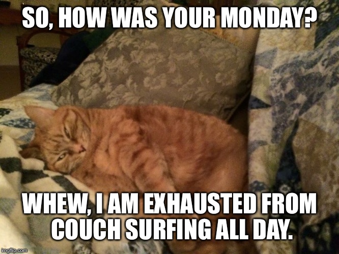 Monday Is Exhausting | SO, HOW WAS YOUR MONDAY? WHEW, I AM EXHAUSTED FROM COUCH SURFING ALL DAY. | image tagged in funny,cats | made w/ Imgflip meme maker