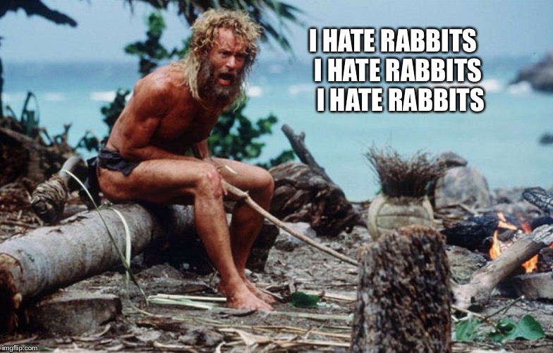 I HATE RABBITS  I HATE RABBITS   I HATE RABBITS | made w/ Imgflip meme maker