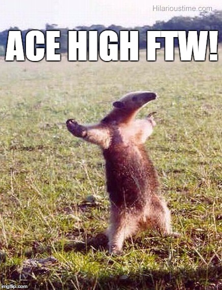 Anteater wanting to fight | ACE HIGH FTW! | image tagged in anteater wanting to fight | made w/ Imgflip meme maker