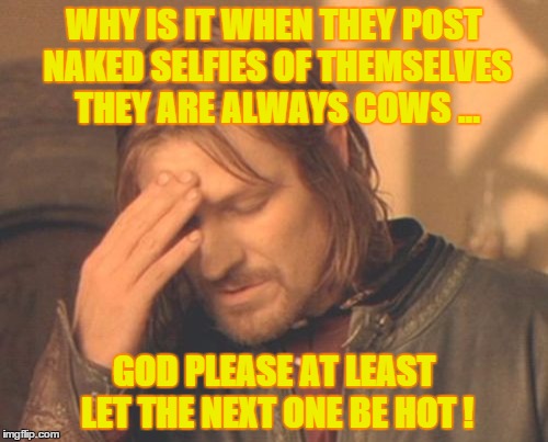 Frustrated Boromir | WHY IS IT WHEN THEY POST NAKED SELFIES OF THEMSELVES THEY ARE ALWAYS COWS ... GOD PLEASE AT LEAST LET THE NEXT ONE BE HOT ! | image tagged in memes,frustrated boromir | made w/ Imgflip meme maker