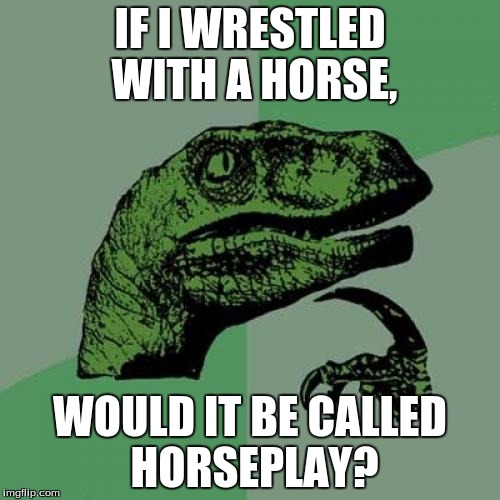 Philosoraptor | IF I WRESTLED WITH A HORSE, WOULD IT BE CALLED HORSEPLAY? | image tagged in memes,philosoraptor | made w/ Imgflip meme maker