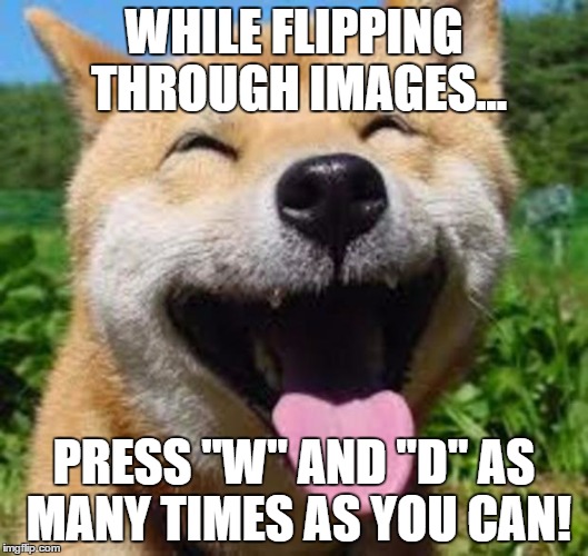 how to be a great person. | WHILE FLIPPING THROUGH IMAGES... PRESS "W" AND "D" AS MANY TIMES AS YOU CAN! | image tagged in happy doge,memes | made w/ Imgflip meme maker