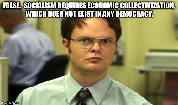 FALSE.  SOCIALISM REQUIRES ECONOMIC COLLECTIVIZATION, WHICH DOES NOT EXIST IN ANY DEMOCRACY. | made w/ Imgflip meme maker