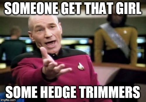 Picard Wtf Meme | SOMEONE GET THAT GIRL SOME HEDGE TRIMMERS | image tagged in memes,picard wtf | made w/ Imgflip meme maker