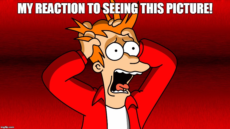 Fry Panic | MY REACTION TO SEEING THIS PICTURE! | image tagged in fry panic | made w/ Imgflip meme maker