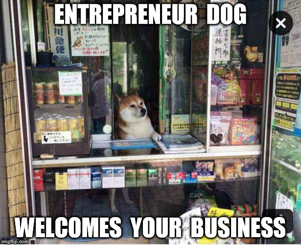 Entrepreneur Dog | ENTREPRENEUR  DOG; WELCOMES  YOUR  BUSINESS | image tagged in entrepreneur dog,doge,dogs | made w/ Imgflip meme maker