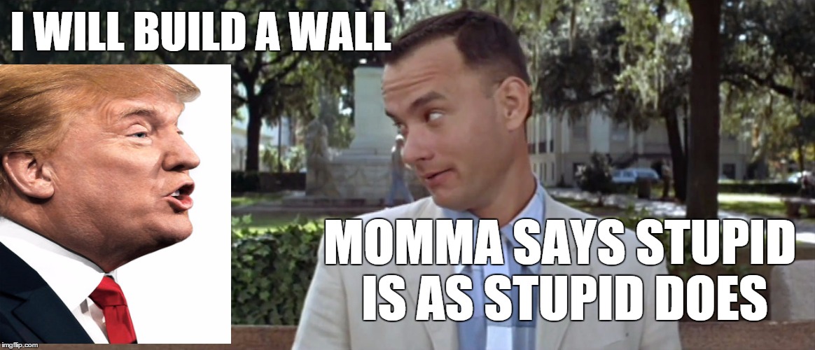 Trump VS Gump  | I WILL BUILD A WALL; MOMMA SAYS STUPID IS AS STUPID DOES | image tagged in donald trump,forrest gump | made w/ Imgflip meme maker